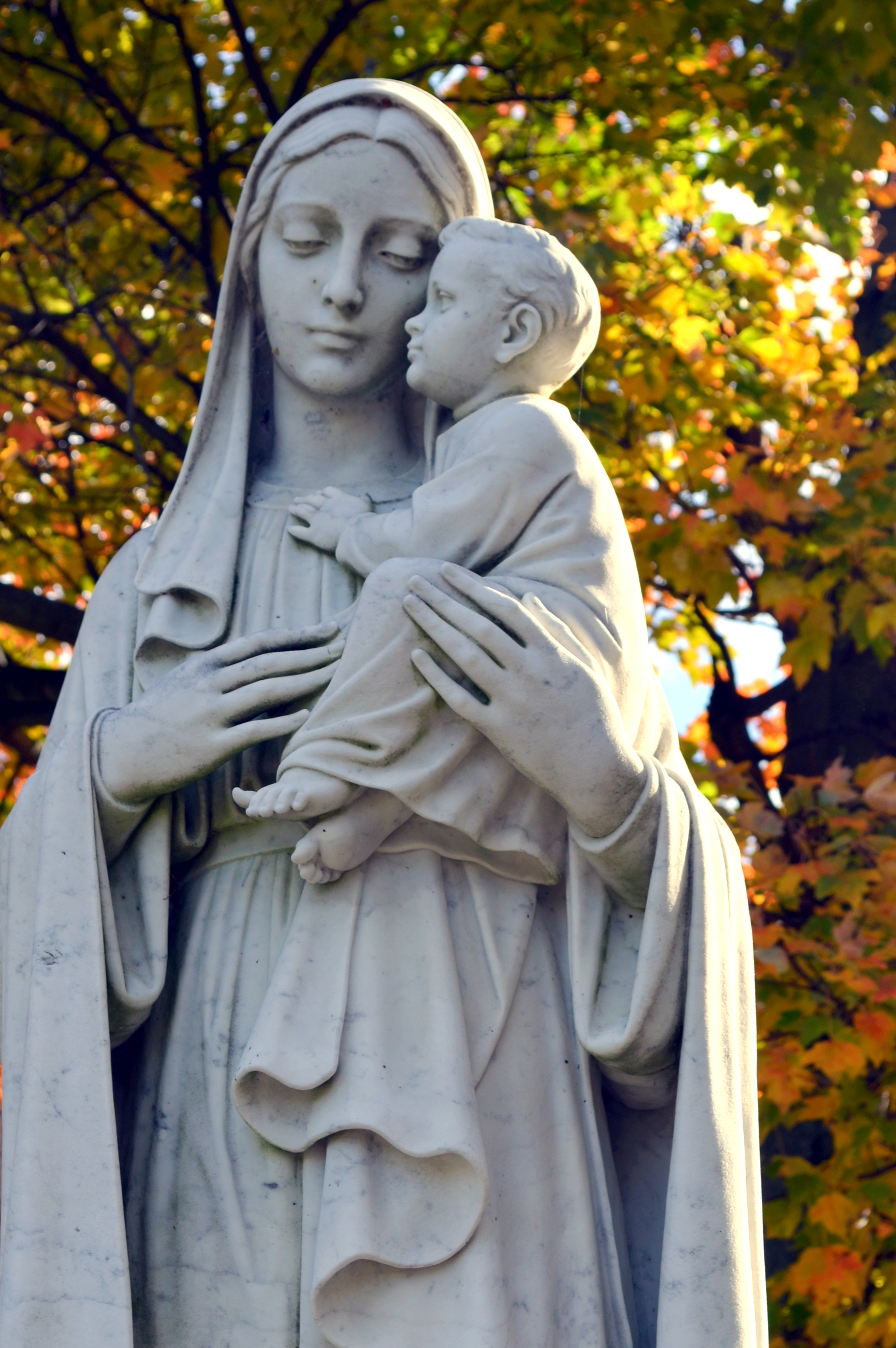 2013.Mary.FALL.11.1.13.CloseUp.1.jpg